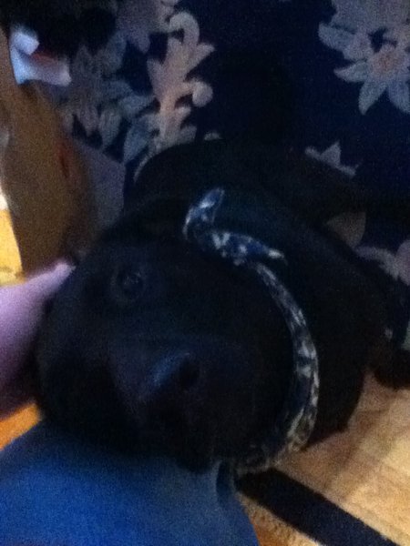 Christmas 11 005.JPG