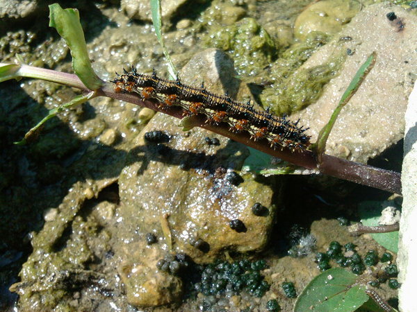 2012-06-25 16.14.31.jpg