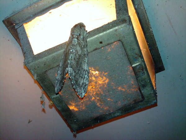 2012-07-28 00.36.43.jpg