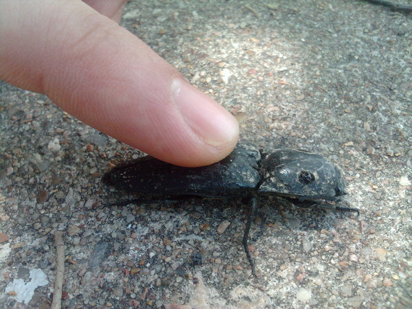 2012-08-10 14.07.07.jpg