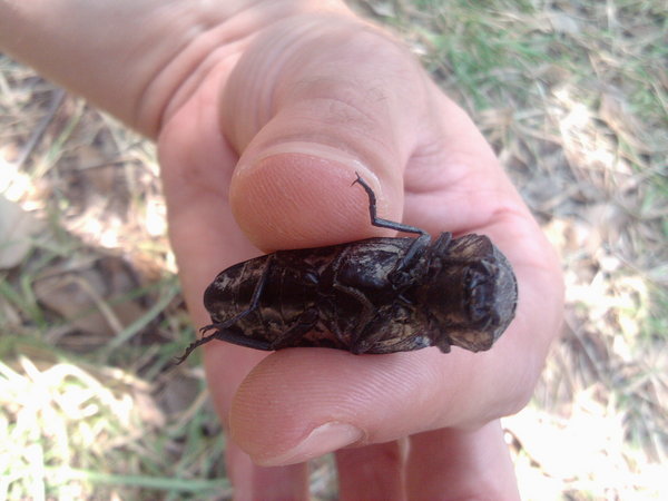 2012-08-10 14.07.42.jpg