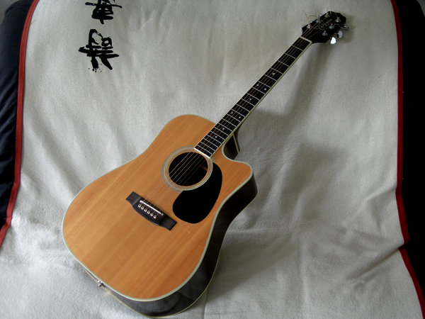 takamine fp360-sc<br />my beater