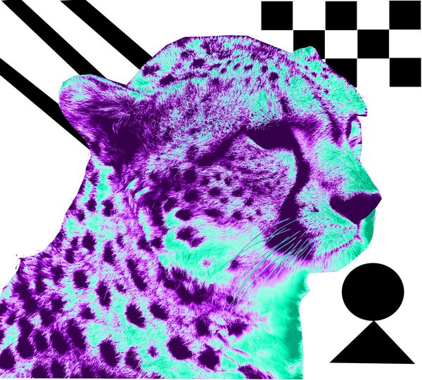 cheeta.jpg (3.06 MiB) Viewed 1884 times poptart colours