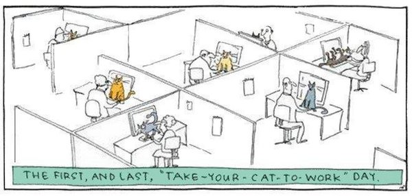 TakeYourCatToWork.jpg