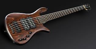 Warwick Streamer $$.jpg