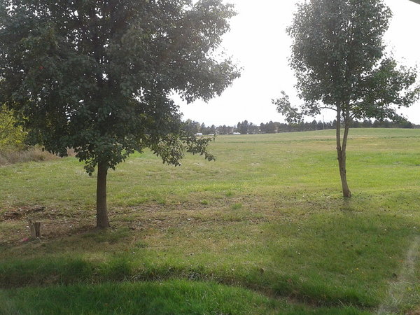 2013-10-08 15.07.19.jpg