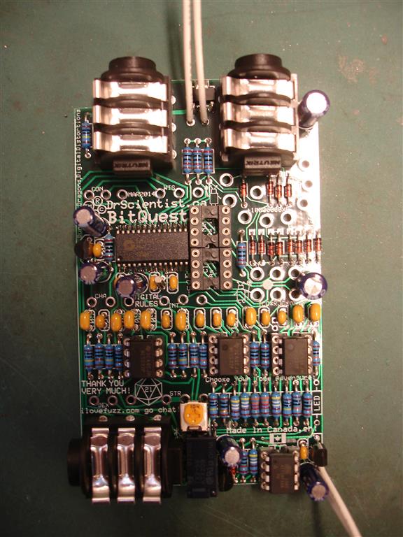 DSC01897 (Large).JPG