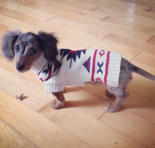 Screen Shot 2014-11-04 at 7.19.19 AM.png