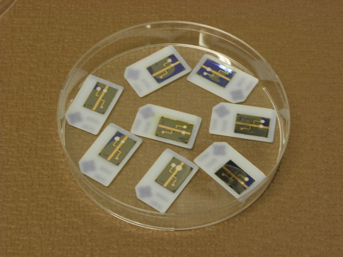 P3060093 (Large).JPG