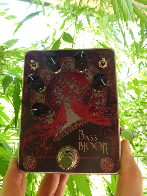 BASS BLOOM -- BOOM!
