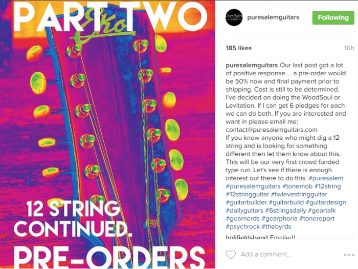 Puresalem 12 string.png