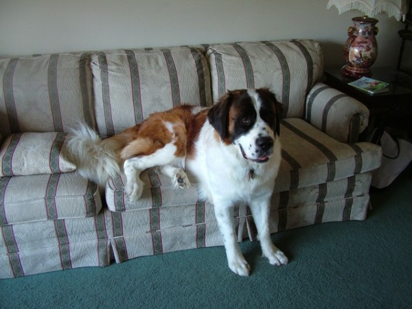 Scrapbooknov 008.jpg