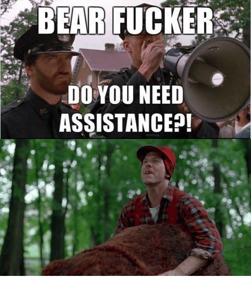 bear-fucker-do-you-need-assistance-5986810.png