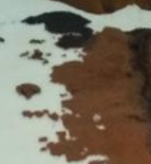 2018-01-21 00_58_08-ilovefuzz.com • View topic - The Confessions Thread.png