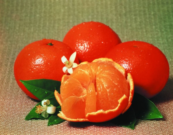 Tangerines.jpg