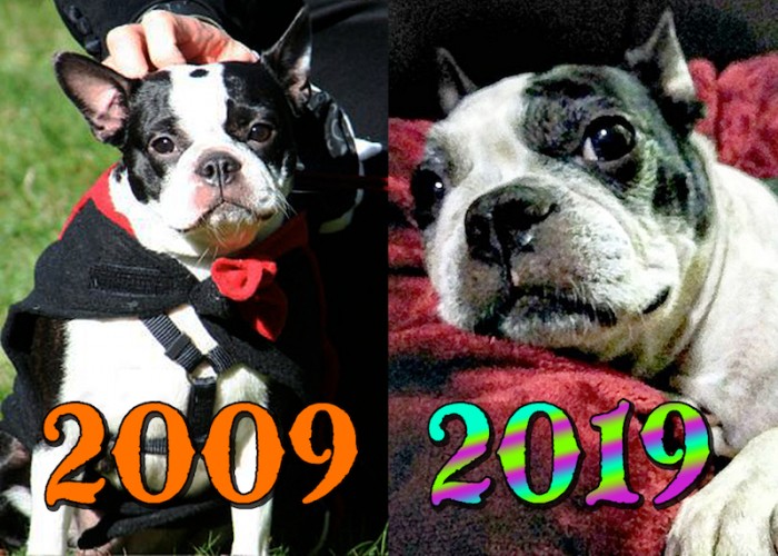 PJ 2009 - 2019 smaller.jpg