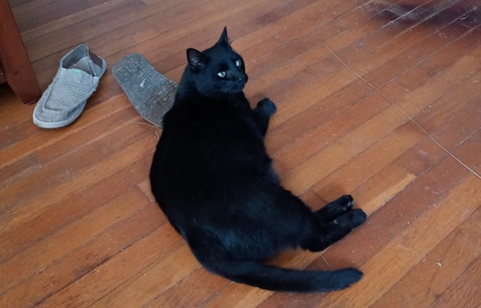 i'll just make myself at home here...