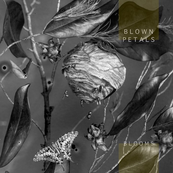 albumimage_chris (2).jpg