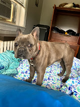 giz stands straight.jpg