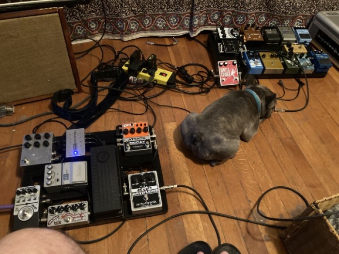 and he's pedalboard-friendly! or at least pedalboard-adjacent LOL.