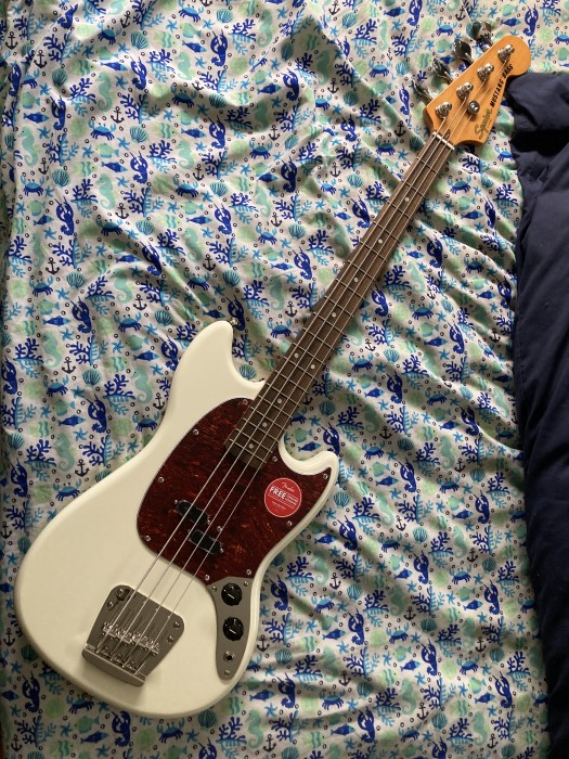 mustangbass-sized.jpg