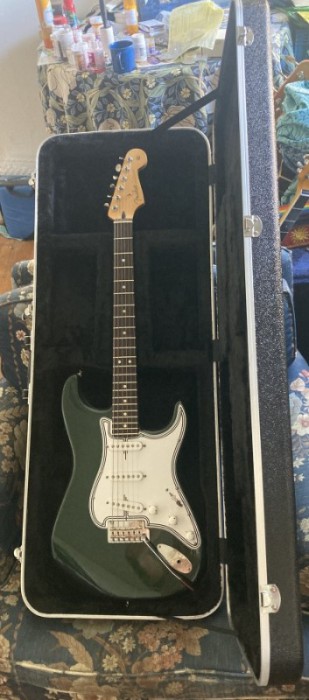 case with guitar.jpg (79.62 KiB) Viewed 181 times case with guitar.jpg