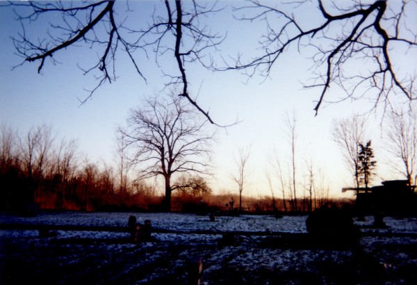 cemetary combine