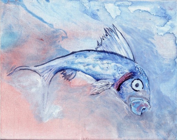 fish out of water