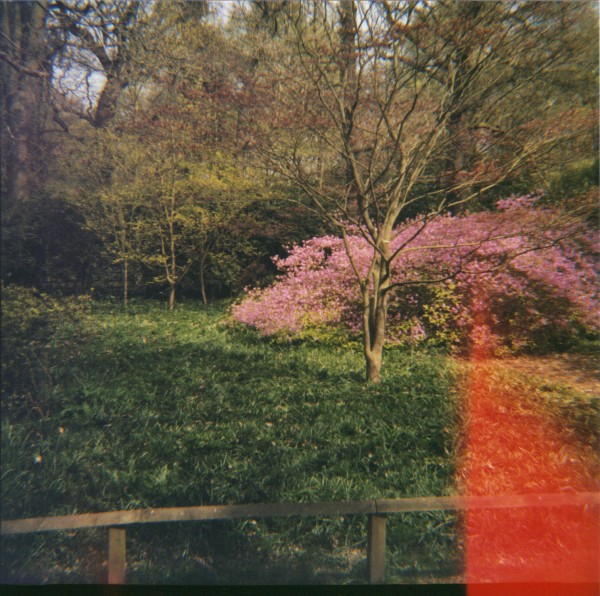 24-06-2010 10;42;03.JPG