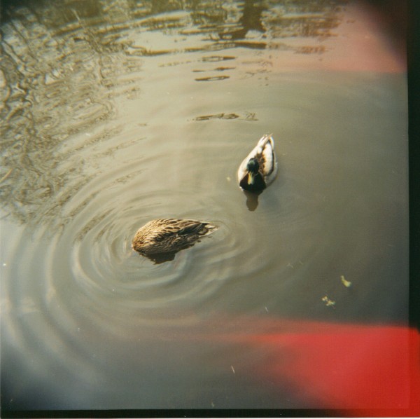 24-06-2010 10;44;11.JPG