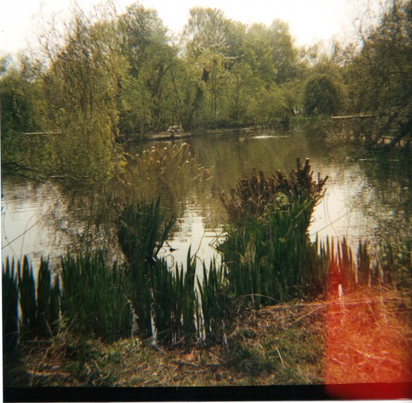 24-06-2010 10;49;34.JPG