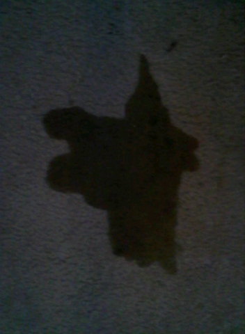 spilt glass and saw this...