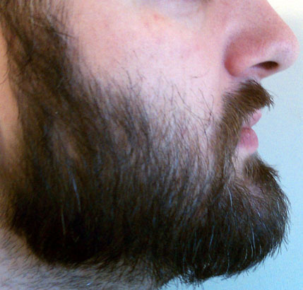 dasbeard.jpg