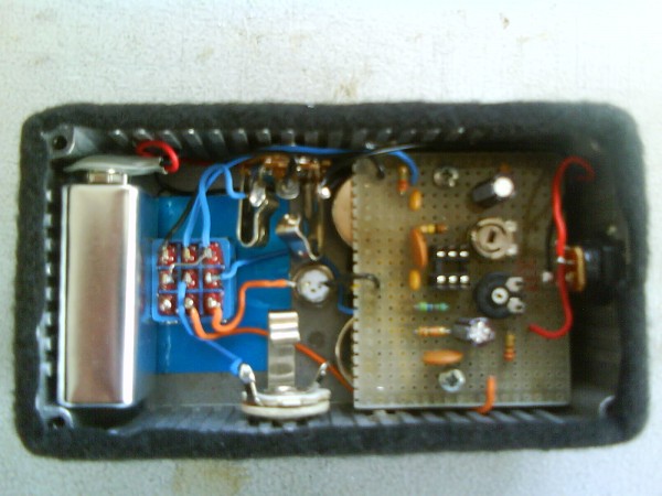 Inside My Furry Fuzz.JPG