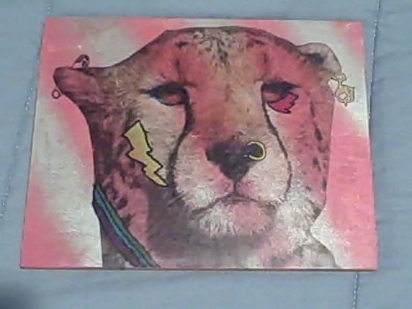 shazam wood transfer.jpg (45.21 KiB) Viewed 3040 times still "glamourous"