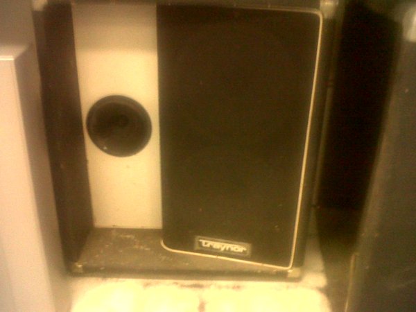 goodwill traynor.jpg