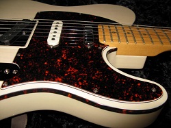 Vintage noiseless pickups and a tele bridge p/u