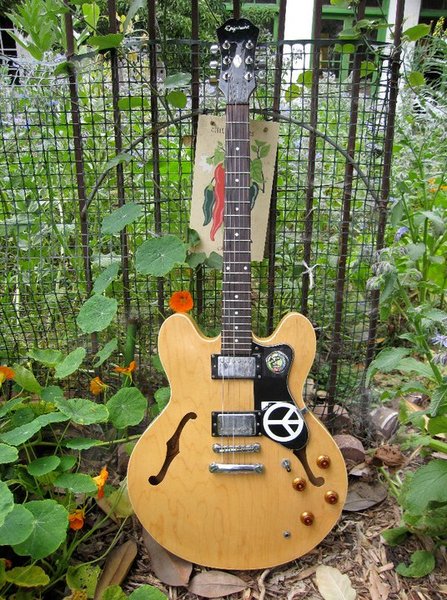 Epiphone Dot. This is my beater guitar when I don't want to take the Gibson out of the house. I get to most of my shows by bike.