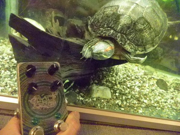 killeri AB-Synth.JPG