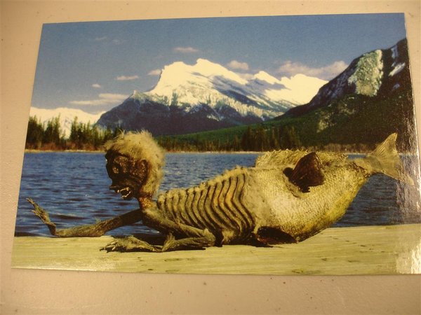 The Banff MerMan.JPG