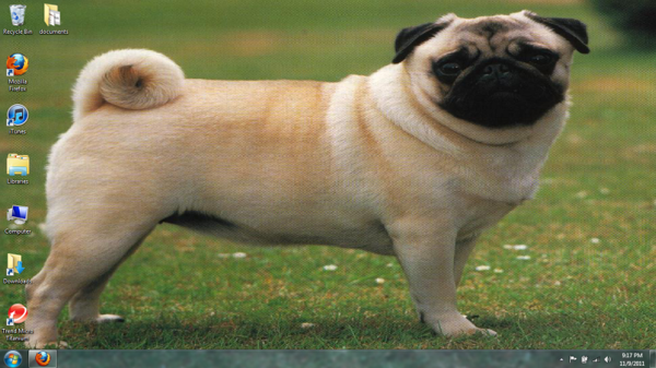 desktop.PNG (764.56 KiB) Viewed 2255 times pug pug pug pug
