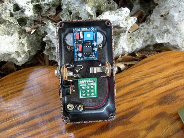 S6300283 (800x600).jpg