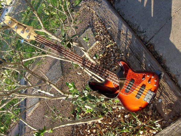 S6300311 (800x600).jpg