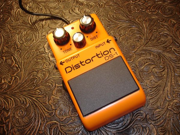 DSC09765 (Large).JPG