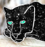 Space panther
