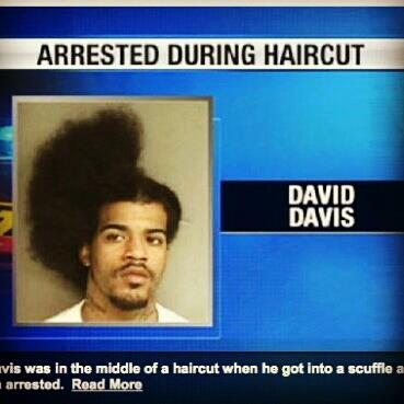 I'd be lying if I said this was the strangest thing I've ever seen on the local news.