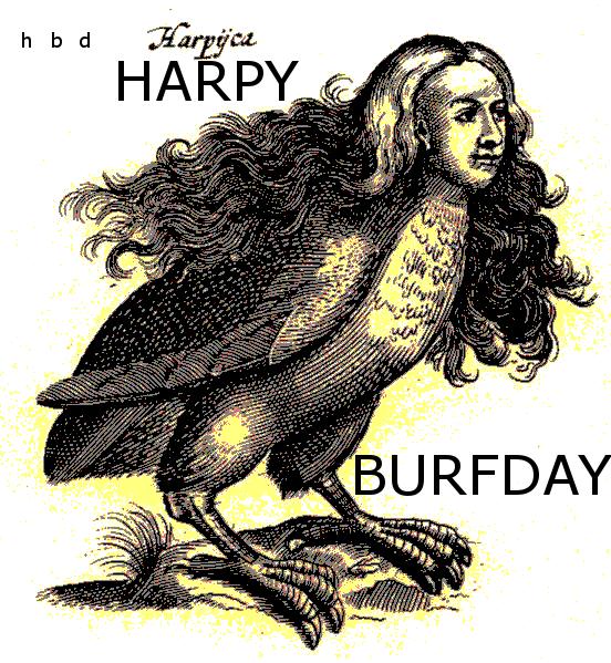 Birthday birdie.jpg