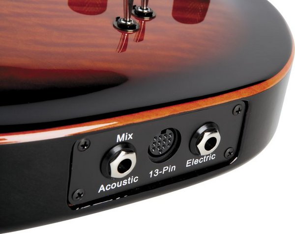 Godin LGX-SA inputs.jpg