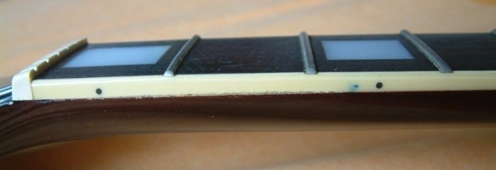 fingerboard L.jpg