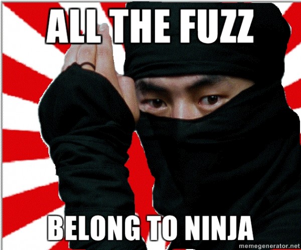 fuzzninja.jpg